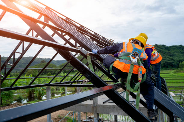 Professional Roofing Contractor in Paynesville, MN